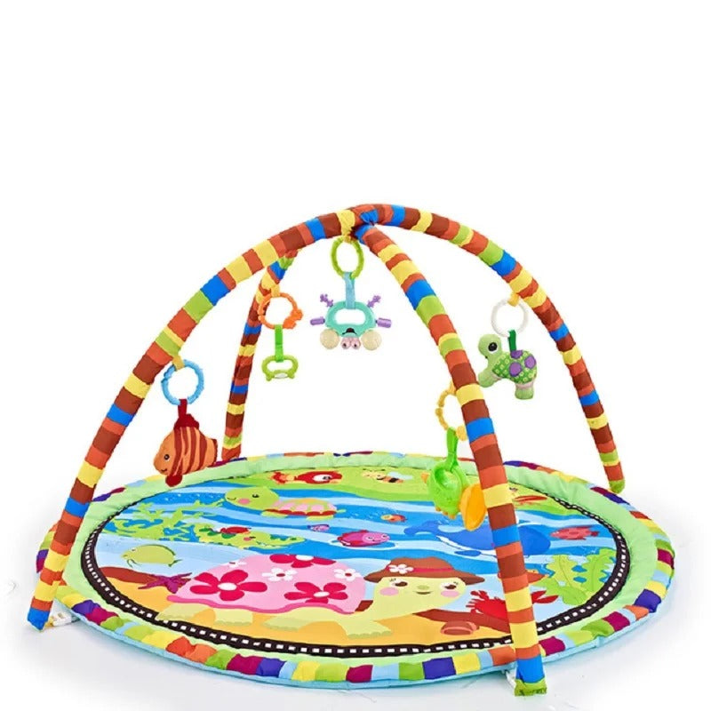 La photo montre un tapis d&
