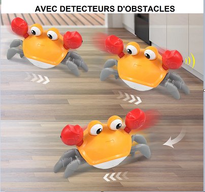 CRABE MAGIQUE - bbcadum