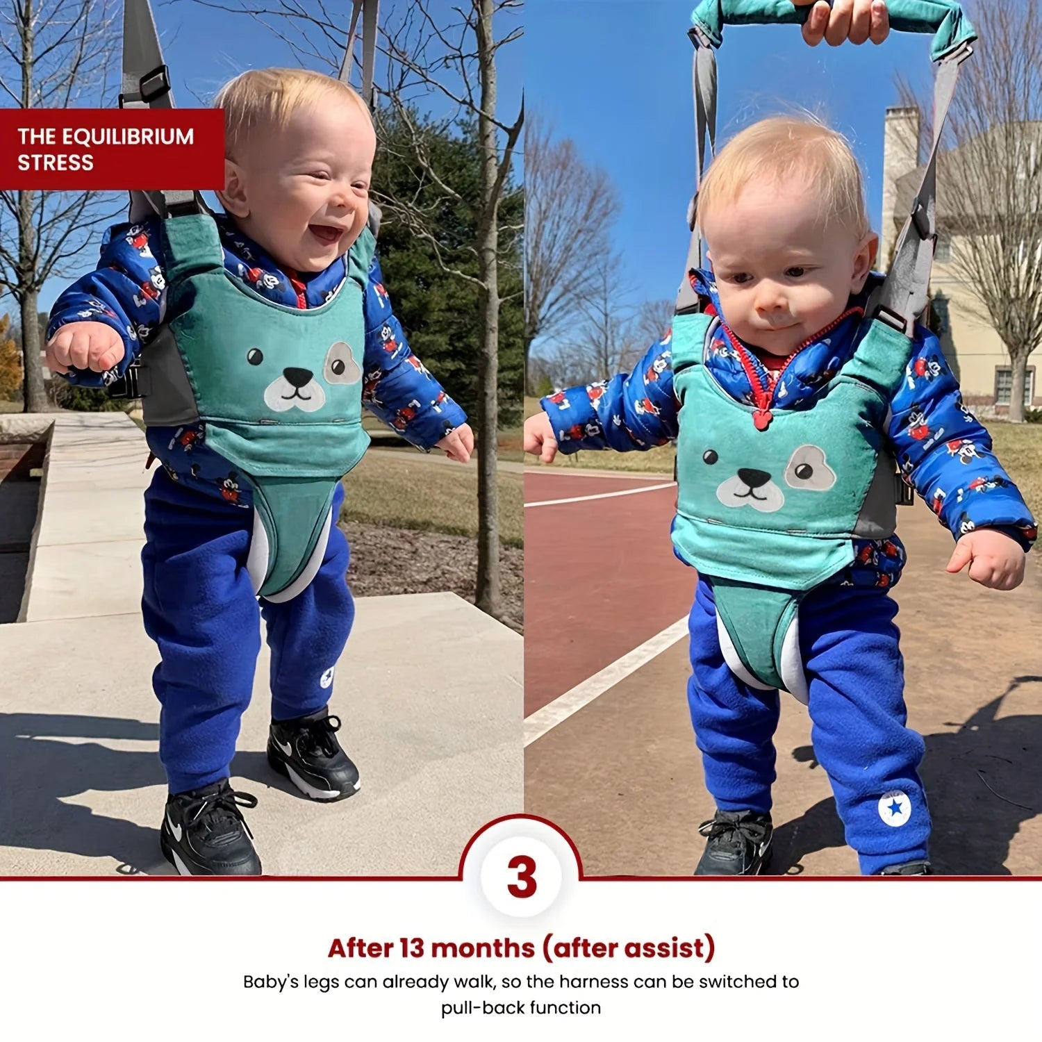 La photo montre un bébé qui marche dans son harnais.