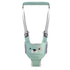 La photo montre un harnais d&