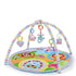 La photo montre un tapis d&