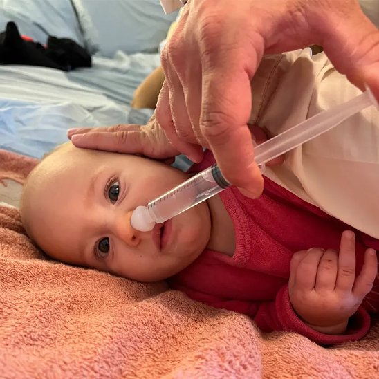 lot de 5 mouche bébé